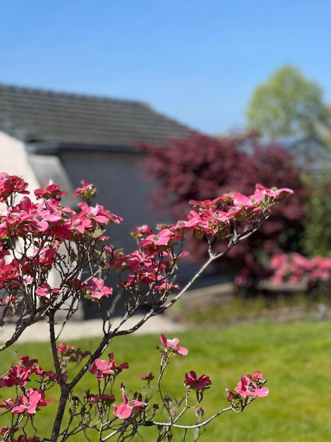 Ikigai B&B - Wellness Oud-Turnhout Exteriör bild