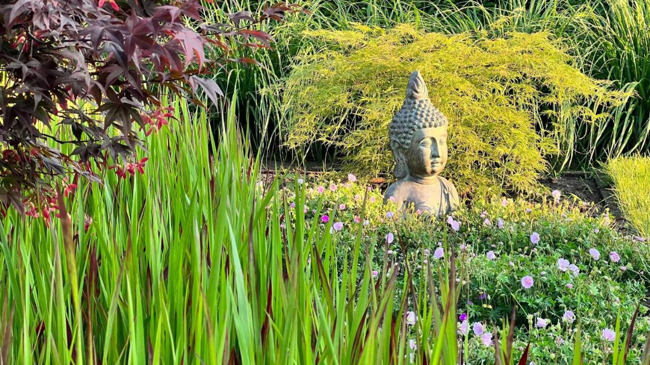 Ikigai B&B - Wellness Oud-Turnhout Exteriör bild