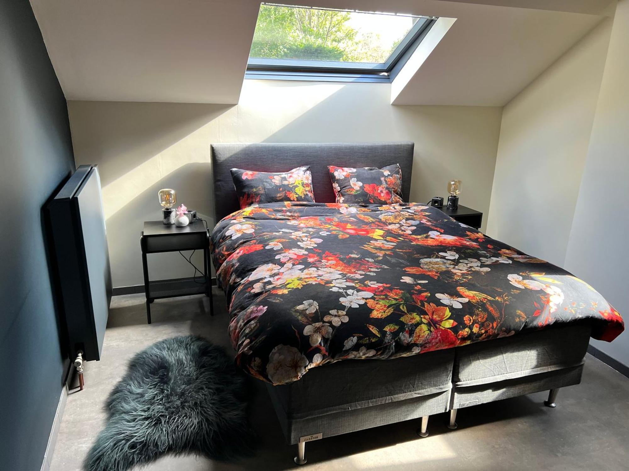 Ikigai B&B - Wellness Oud-Turnhout Exteriör bild
