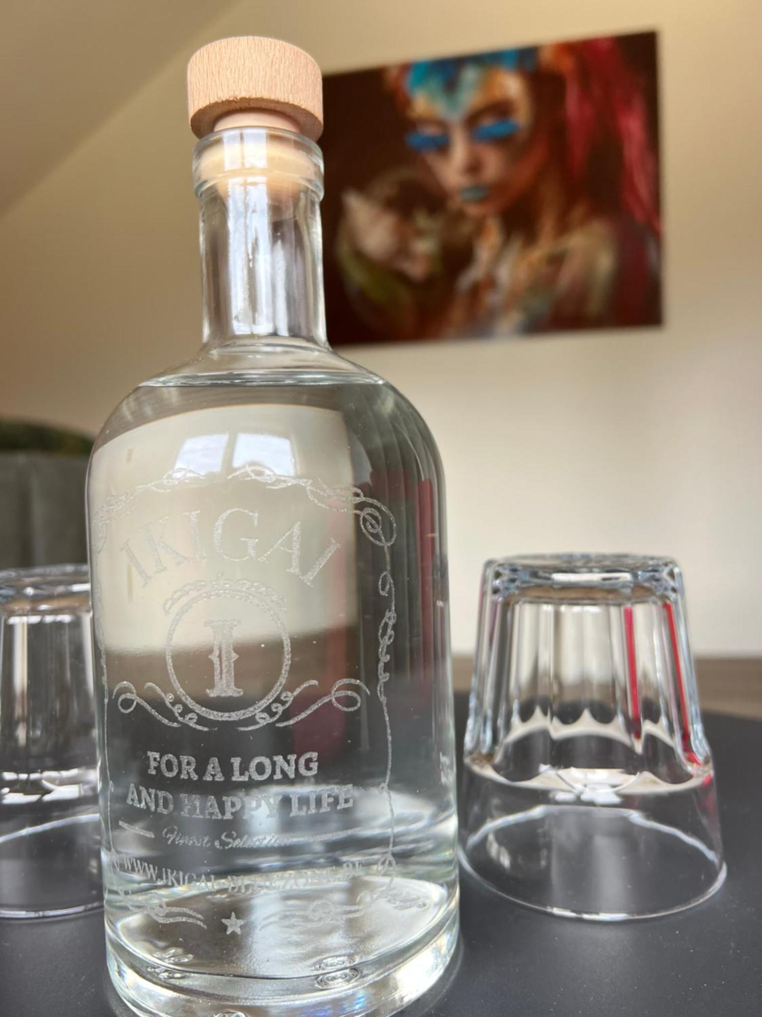 Ikigai B&B - Wellness Oud-Turnhout Exteriör bild